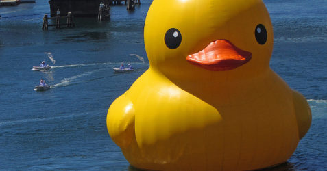 Swimming Game – Duck Partner Kick Rubber duck